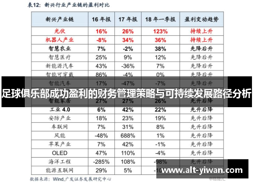 足球俱乐部成功盈利的财务管理策略与可持续发展路径分析