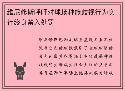 维尼修斯呼吁对球场种族歧视行为实行终身禁入处罚
